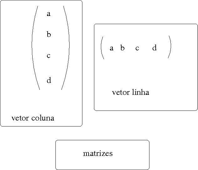 vetor linha  ou  vetor coluna